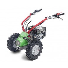 Rapid Rex Rapid Rex